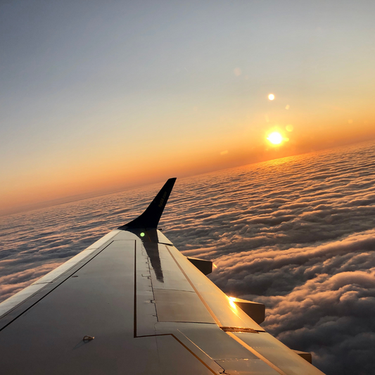 earplugs for airplanes